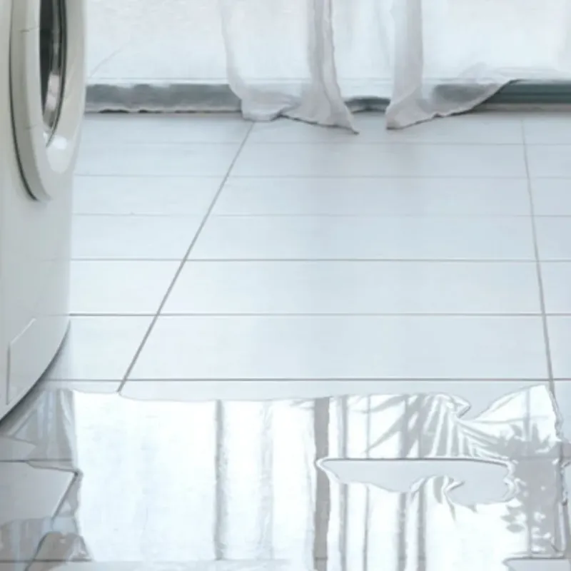 Appliance Leak Cleanup in Manchester, WI