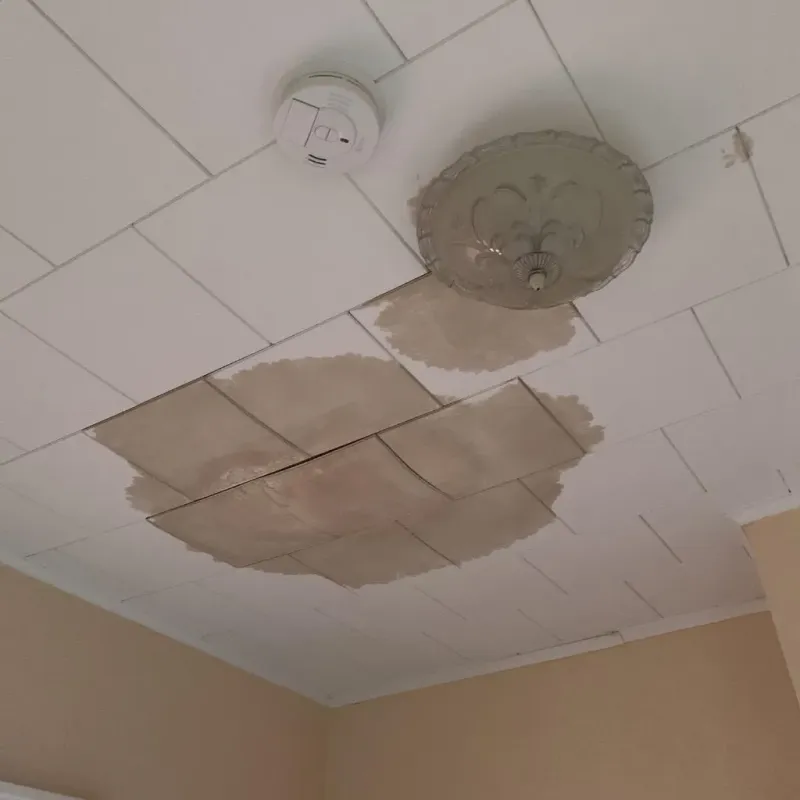 Ceiling Water Damage Repair in Manchester, WI