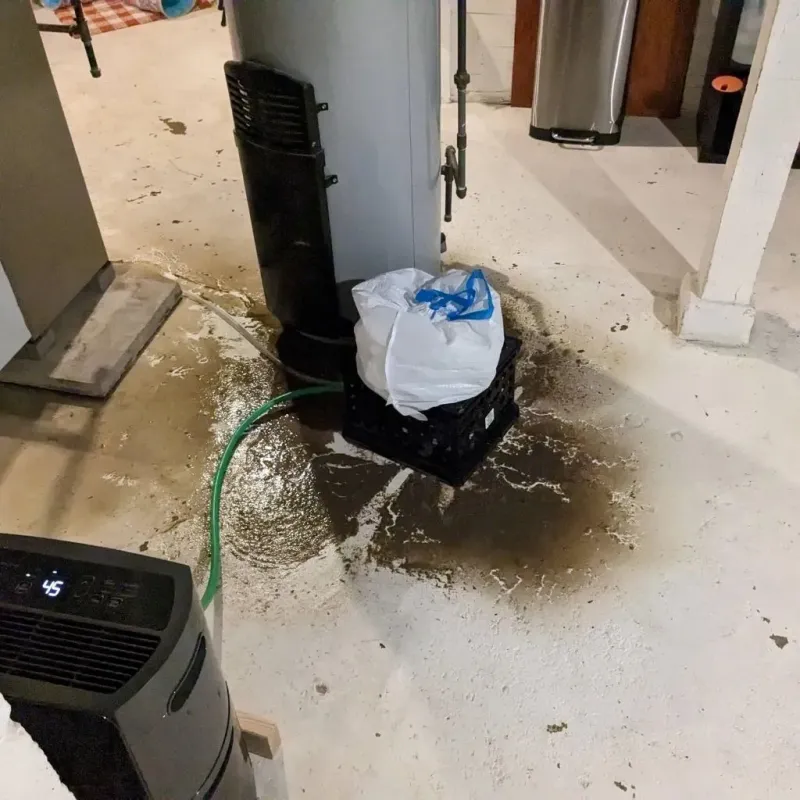 Sewage Backup Cleanup Service in Manchester, WI